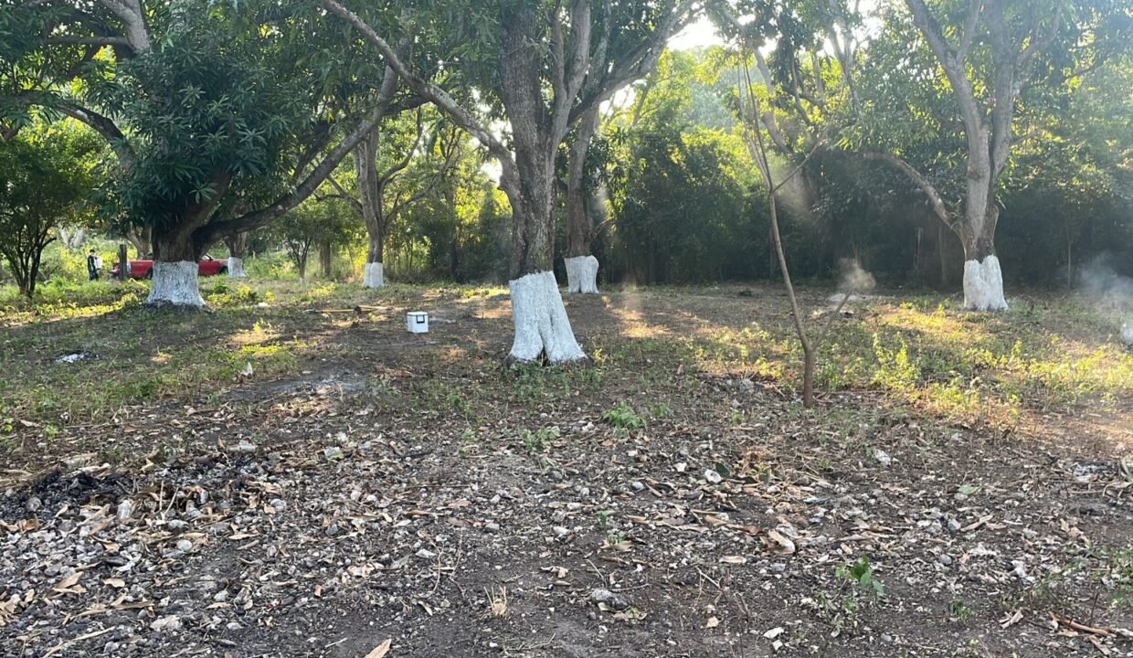 WhatsApp Image 2025-12-11 at 4.31.35 PM (2)