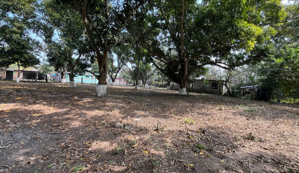 WhatsApp Image 2026-02-21 at 12.21.52 PM (2)