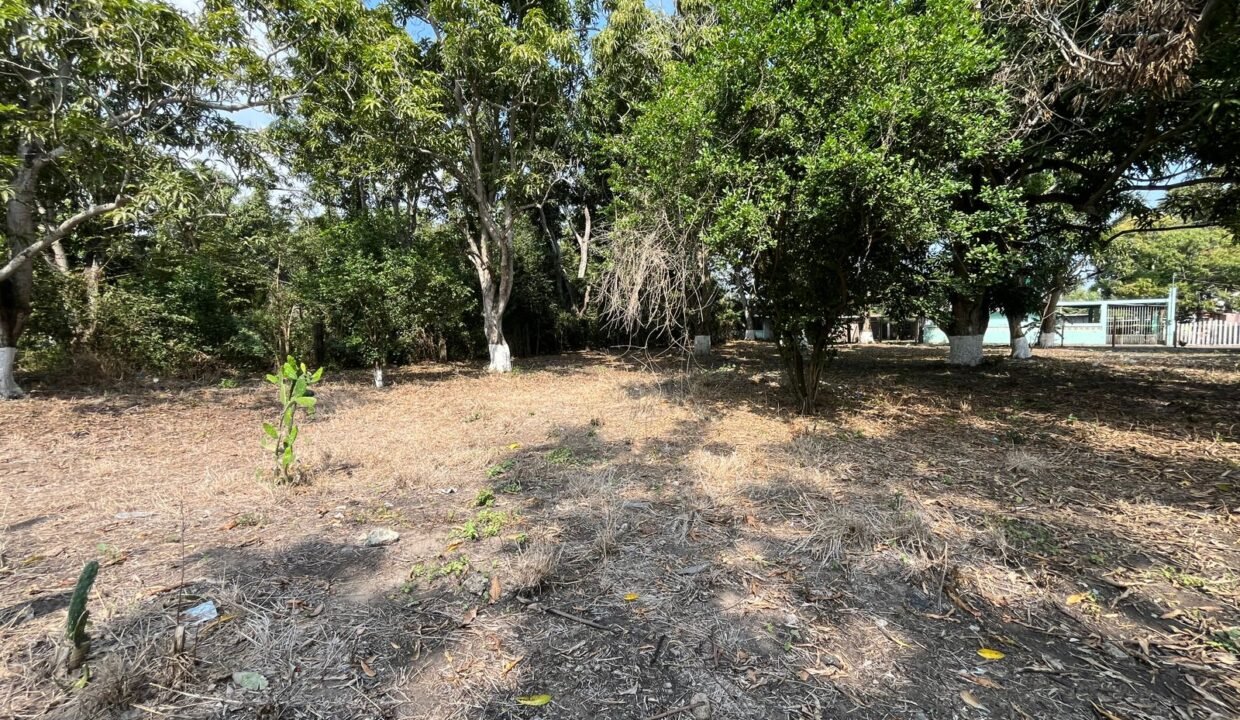 WhatsApp Image 2026-02-21 at 12.21.52 PM (4)