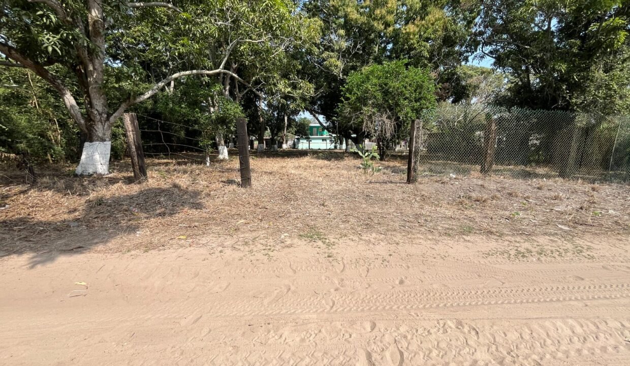 WhatsApp Image 2026-02-21 at 12.21.52 PM (5)