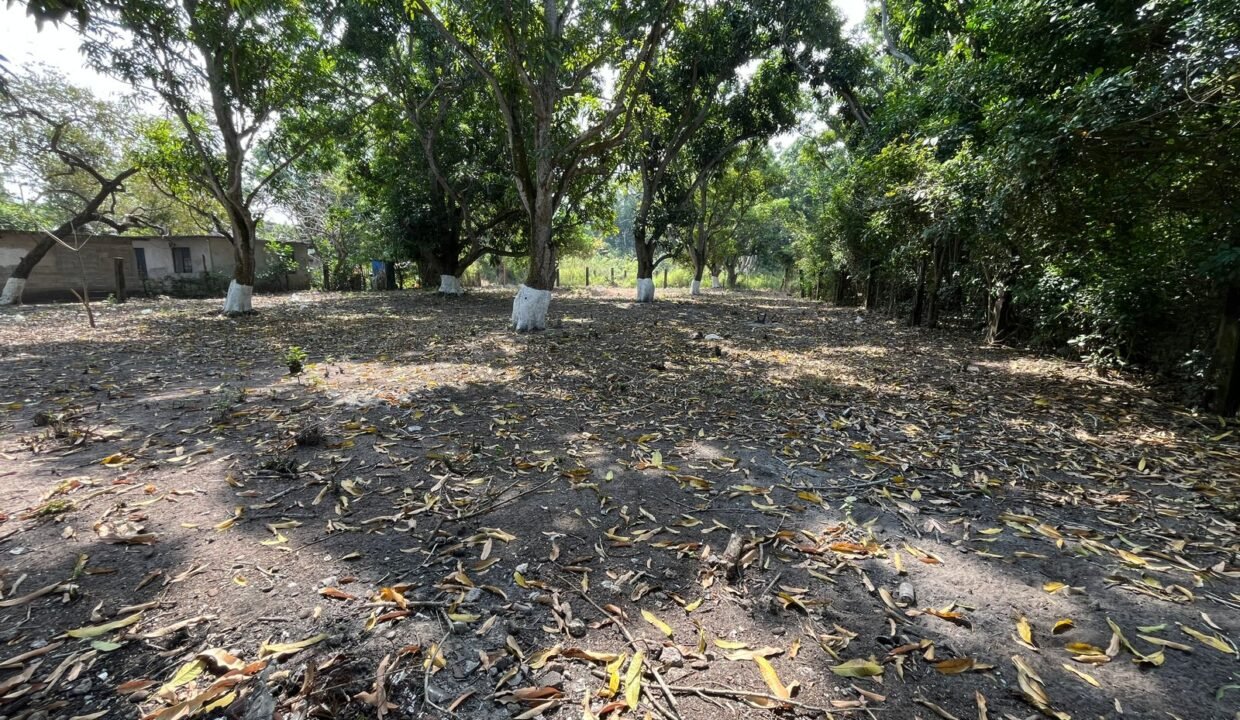 WhatsApp Image 2026-02-21 at 12.21.52 PM (6)