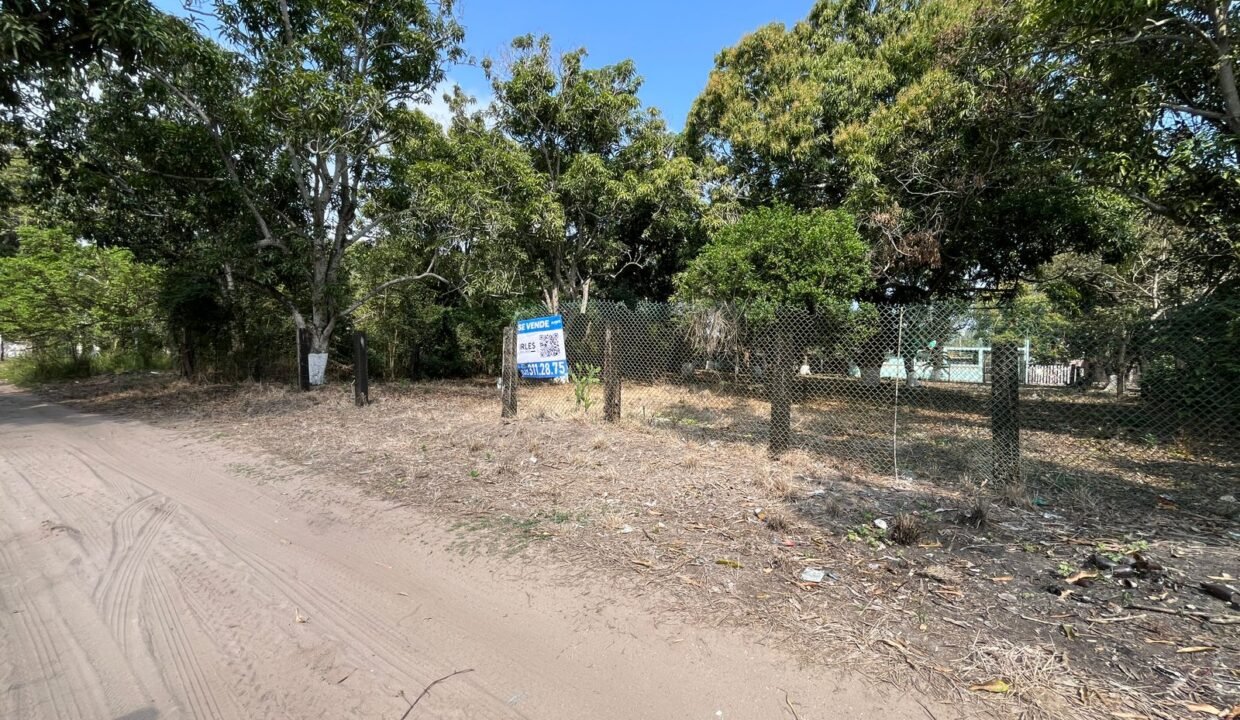 WhatsApp Image 2026-02-21 at 12.21.52 PM (7)