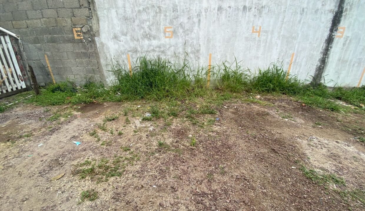 IMG-20250222-WA0050