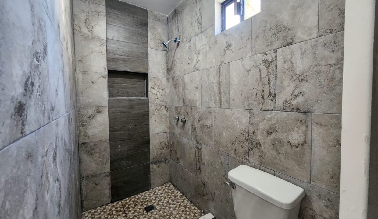 IMG-20250310-WA0102