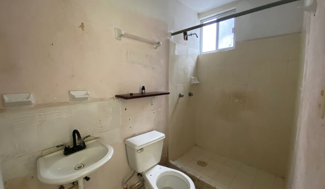 IMG-20250830-WA0133