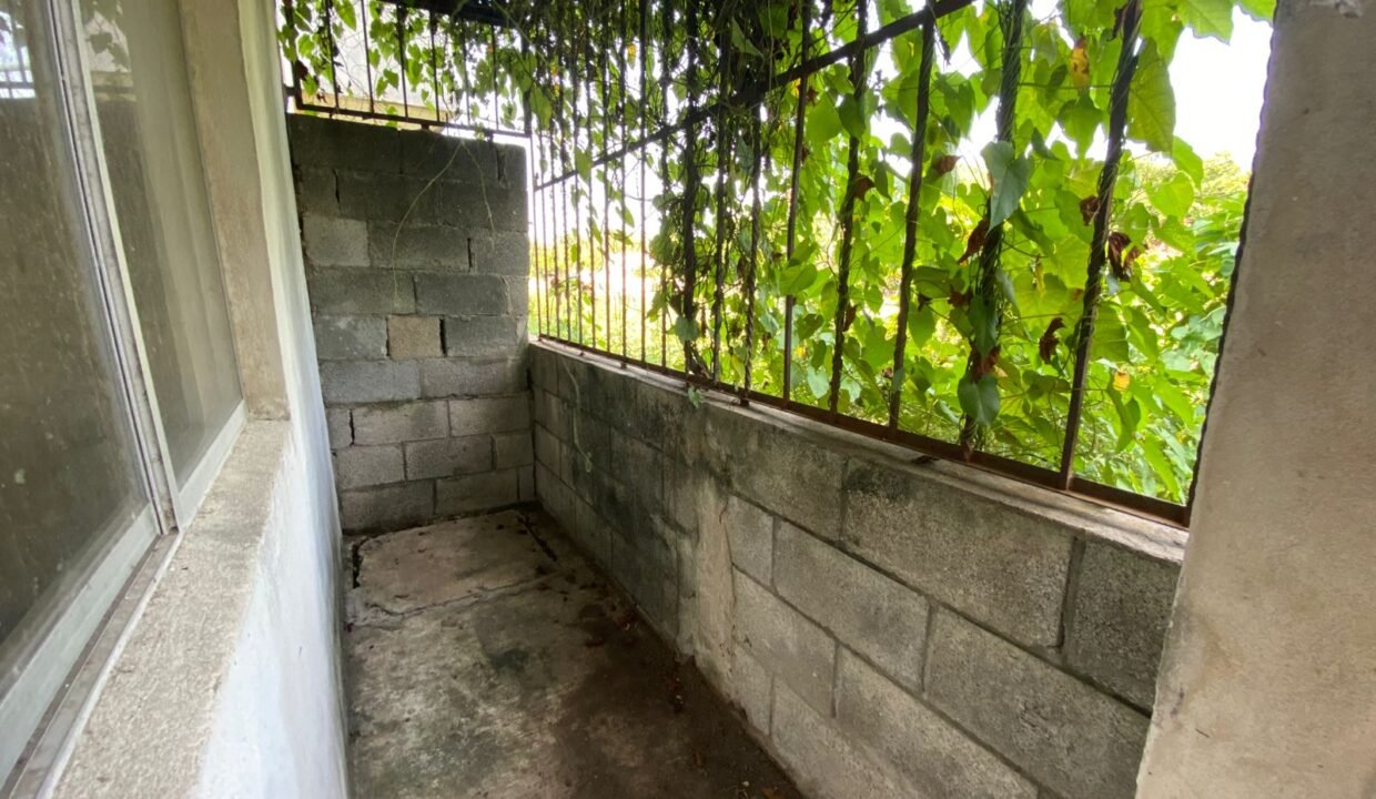 IMG-20250830-WA0141