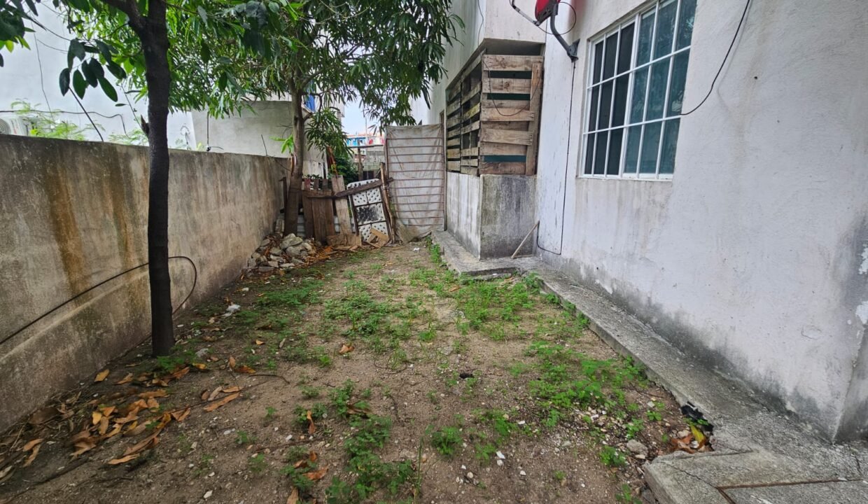 Patio trasero(1)