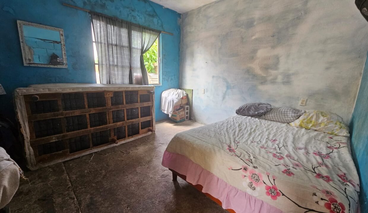 WhatsApp Image 2025-11-14 at 11.30.26 AM (2)