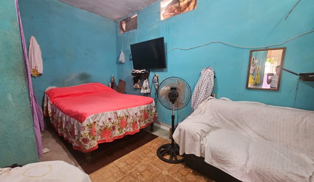 WhatsApp Image 2025-11-14 at 11.30.27 AM (1)