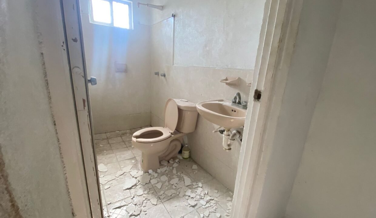 WhatsApp Image 2026-02-10 at 4.02.57 PM