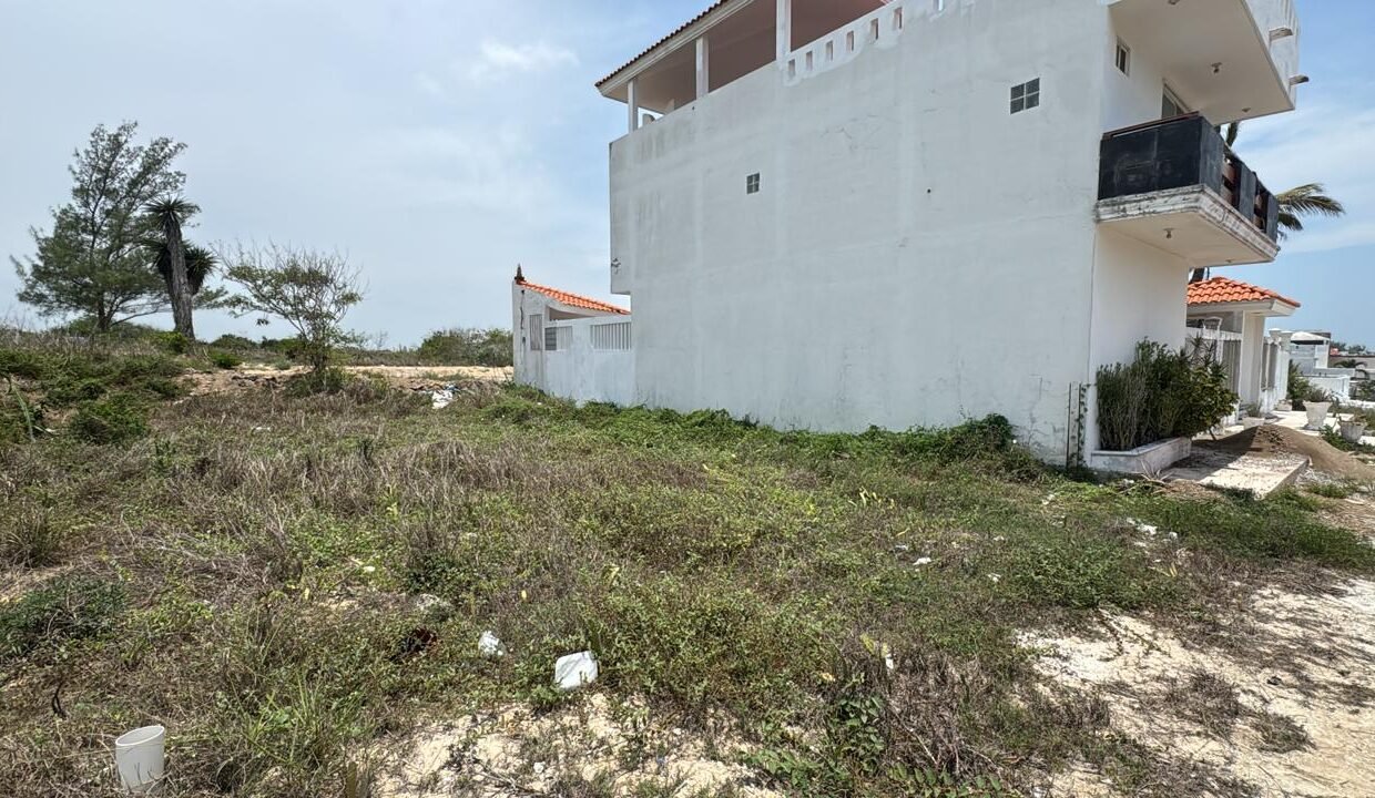 WhatsApp Image 2026-02-03 at 10.36.36 AM