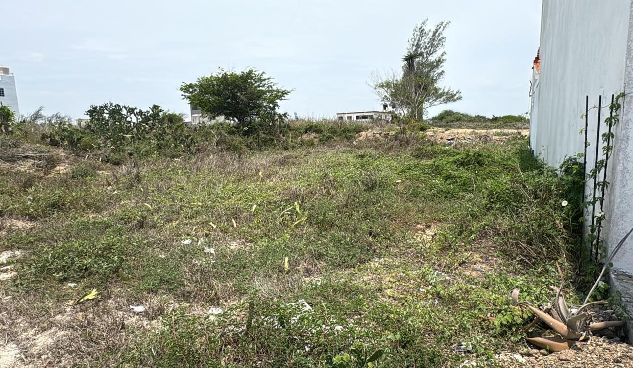 WhatsApp Image 2026-02-03 at 10.36.38 AM