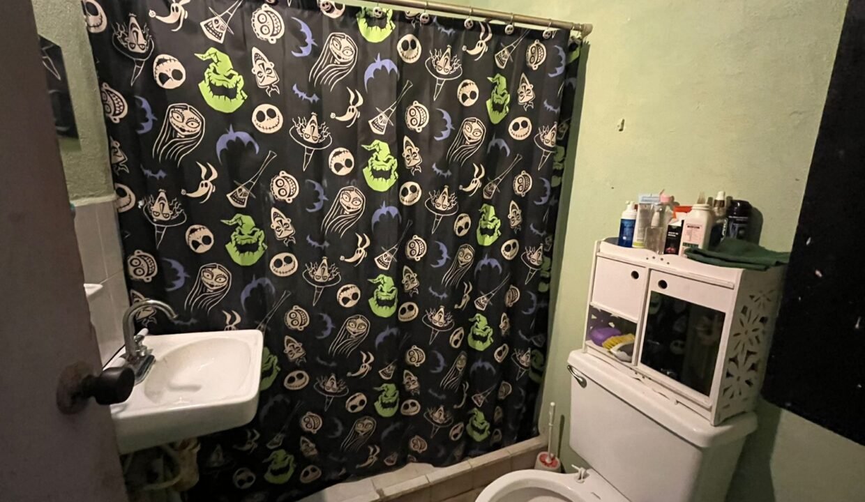 WhatsApp Image 2026-02-13 at 11.29.19 AM (3)