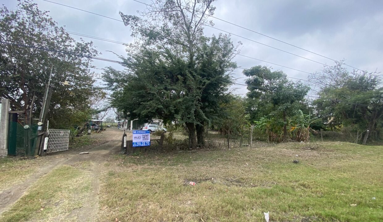 WhatsApp Image 2026-02-21 at 12.25.24 PM