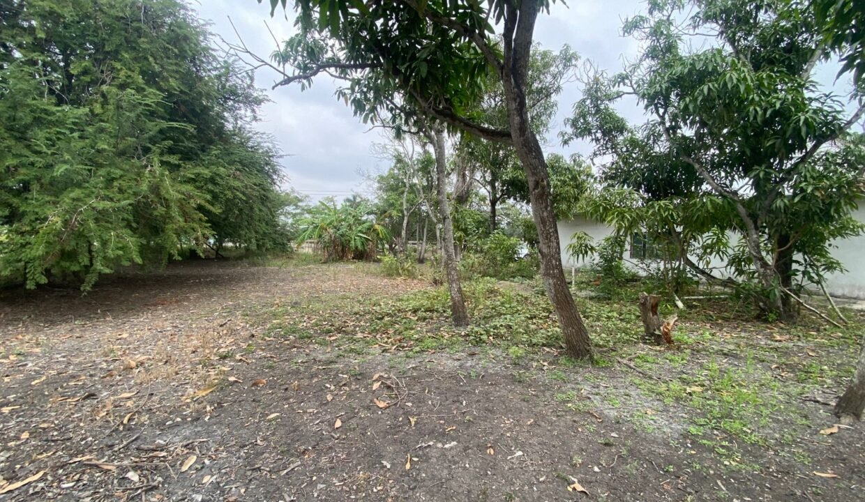 WhatsApp Image 2026-02-21 at 12.25.25 PM