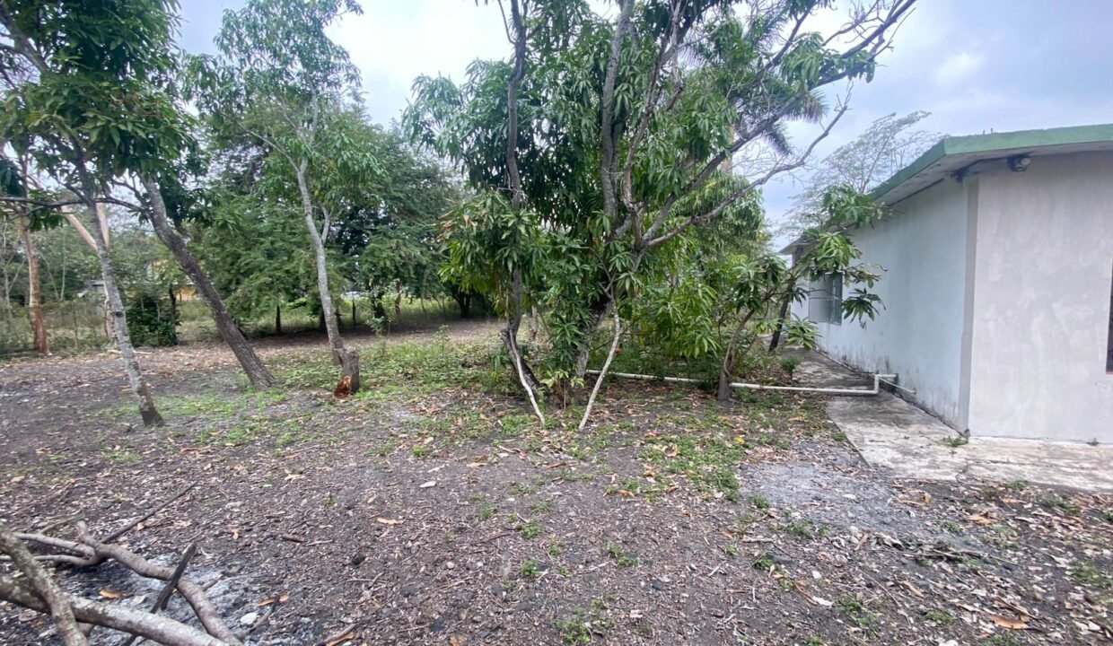 WhatsApp Image 2026-02-21 at 12.25.25 PM (2)