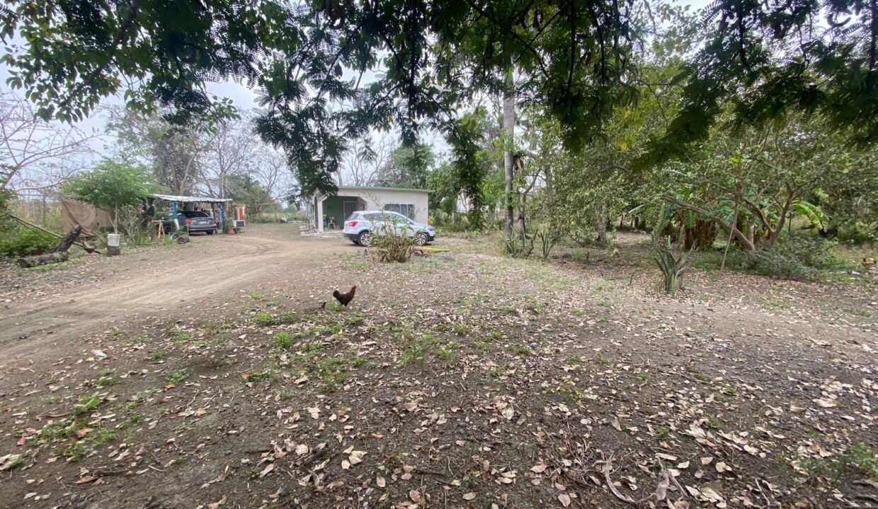 WhatsApp Image 2026-02-21 at 12.25.26 PM (1)