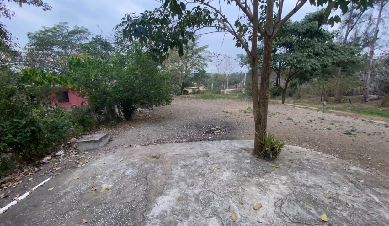 Patio Tasero Vista desde casa