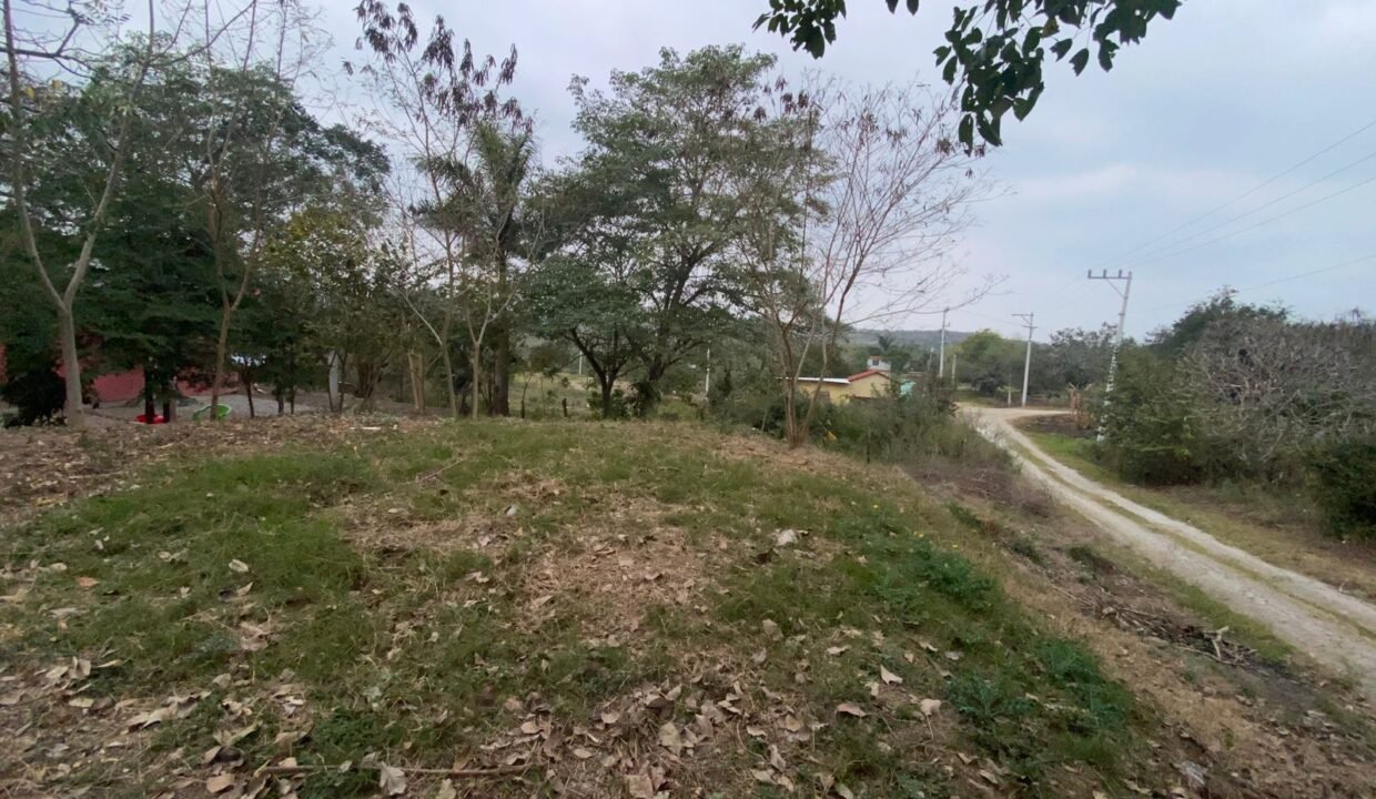 Patio trasero Vista Lateral derecha