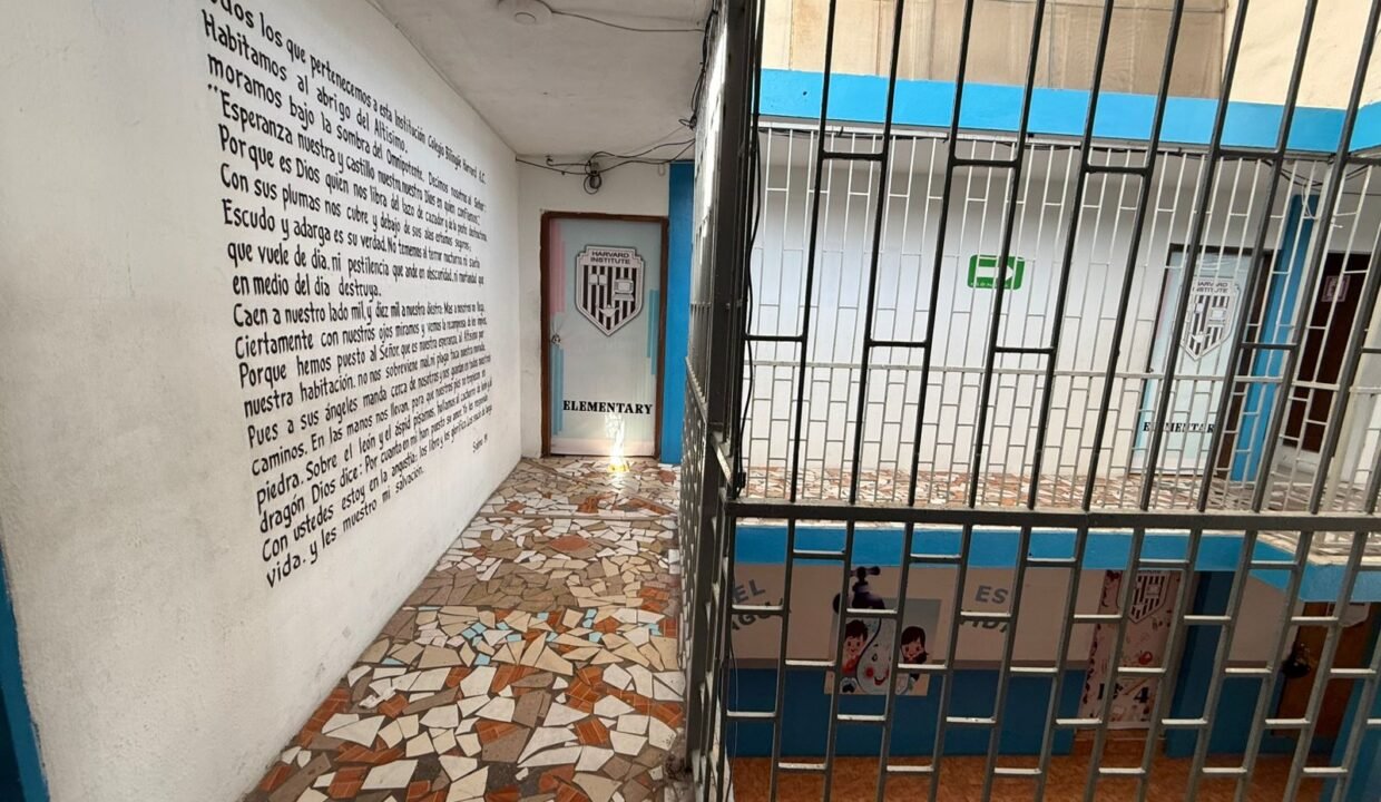 WhatsApp Image 2026-03-17 at 3.59.25 PM (2)