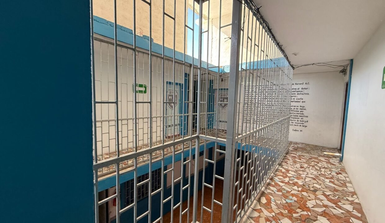 WhatsApp Image 2026-03-17 at 3.59.27 PM (3)