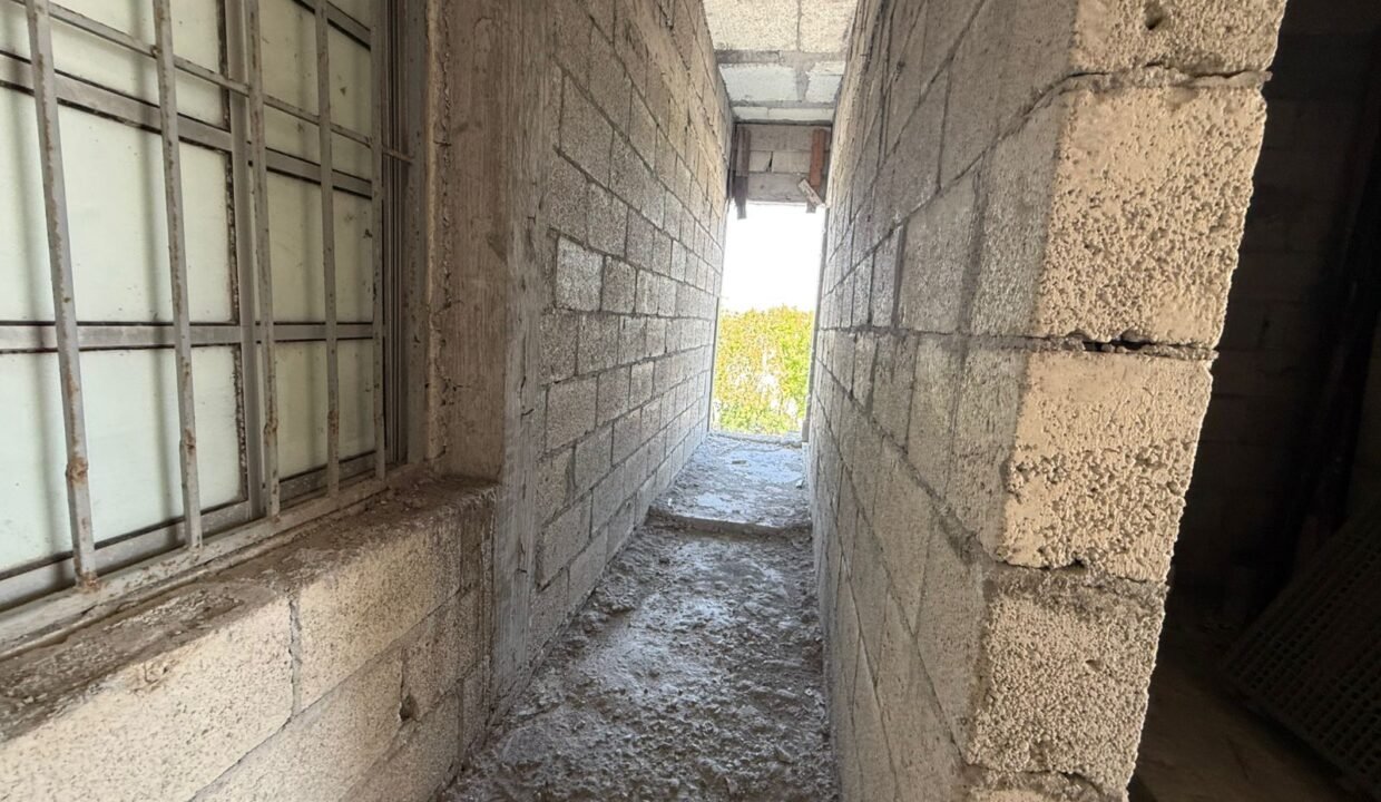 WhatsApp Image 2026-03-17 at 3.59.28 PM (3)