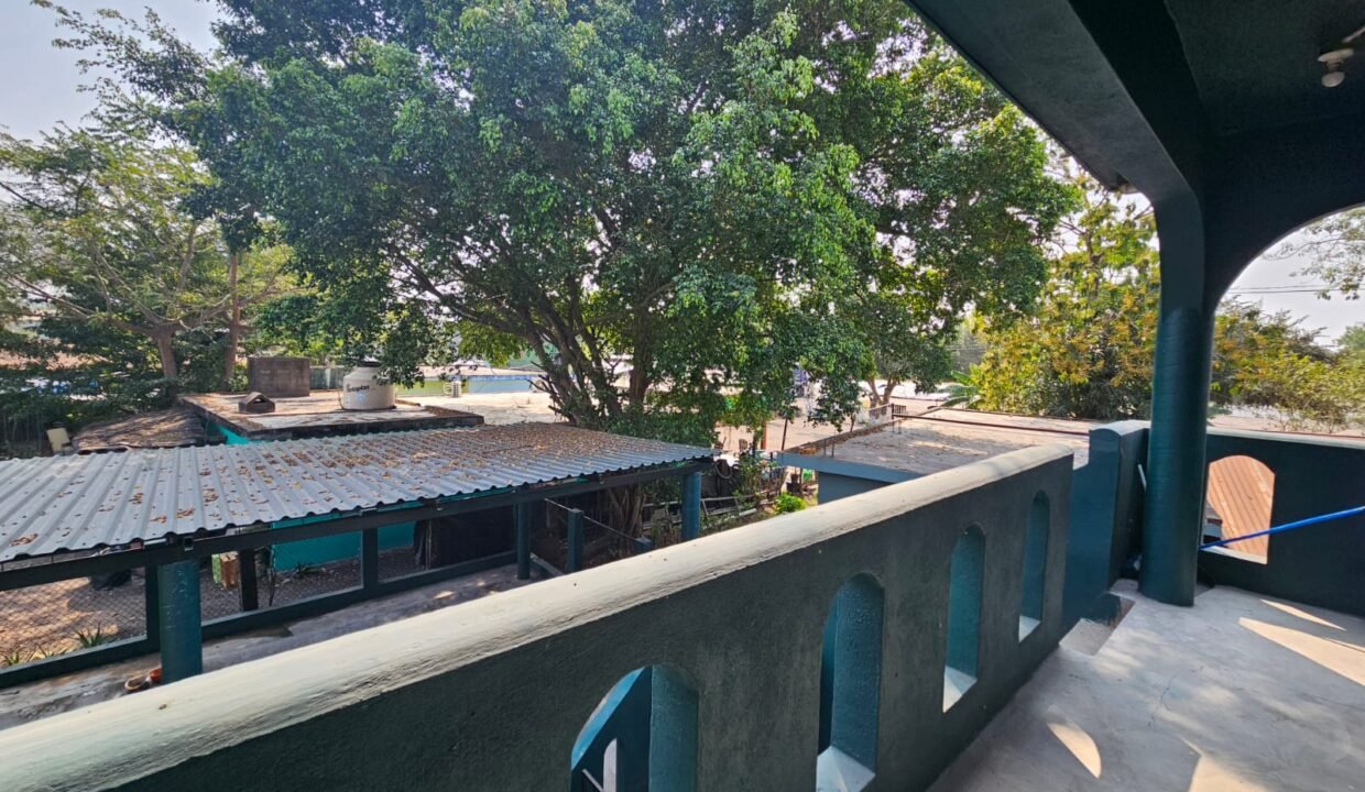 WhatsApp Image 2026-03-24 at 11.31.17 AM