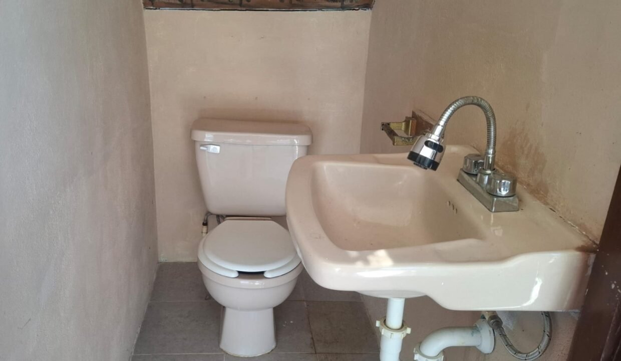 WhatsApp Image 2026-03-24 at 11.35.06 AM