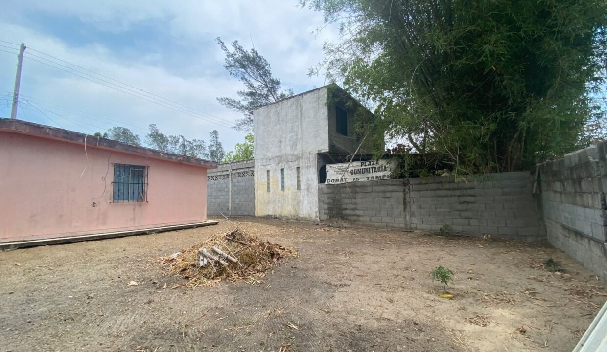Patio trasero