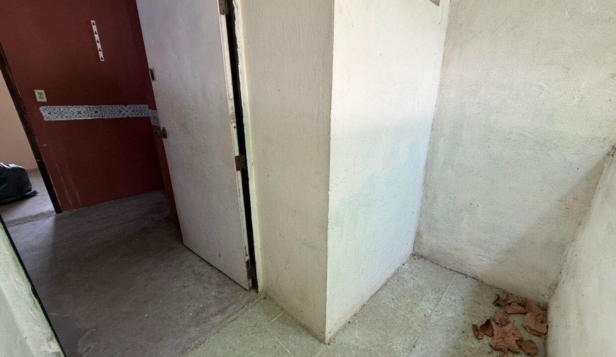 WhatsApp Image 2026-05-12 at 11.42.30 AM (1)