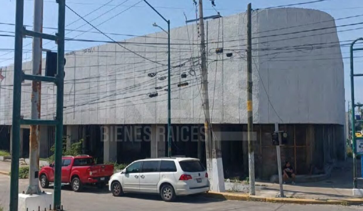 MARCAS DE AGUA (9)