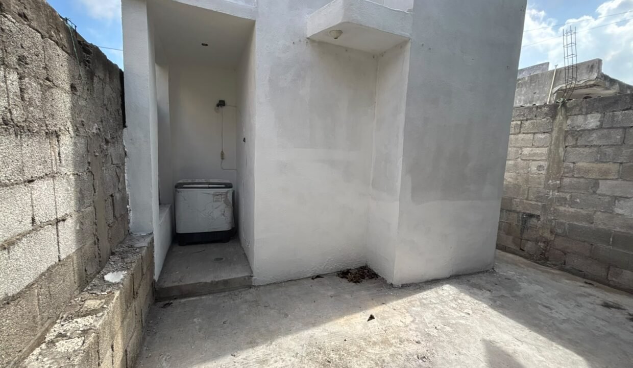 Patio trasero