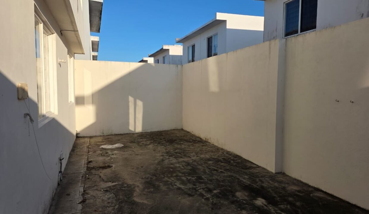 Patio trasero (2)