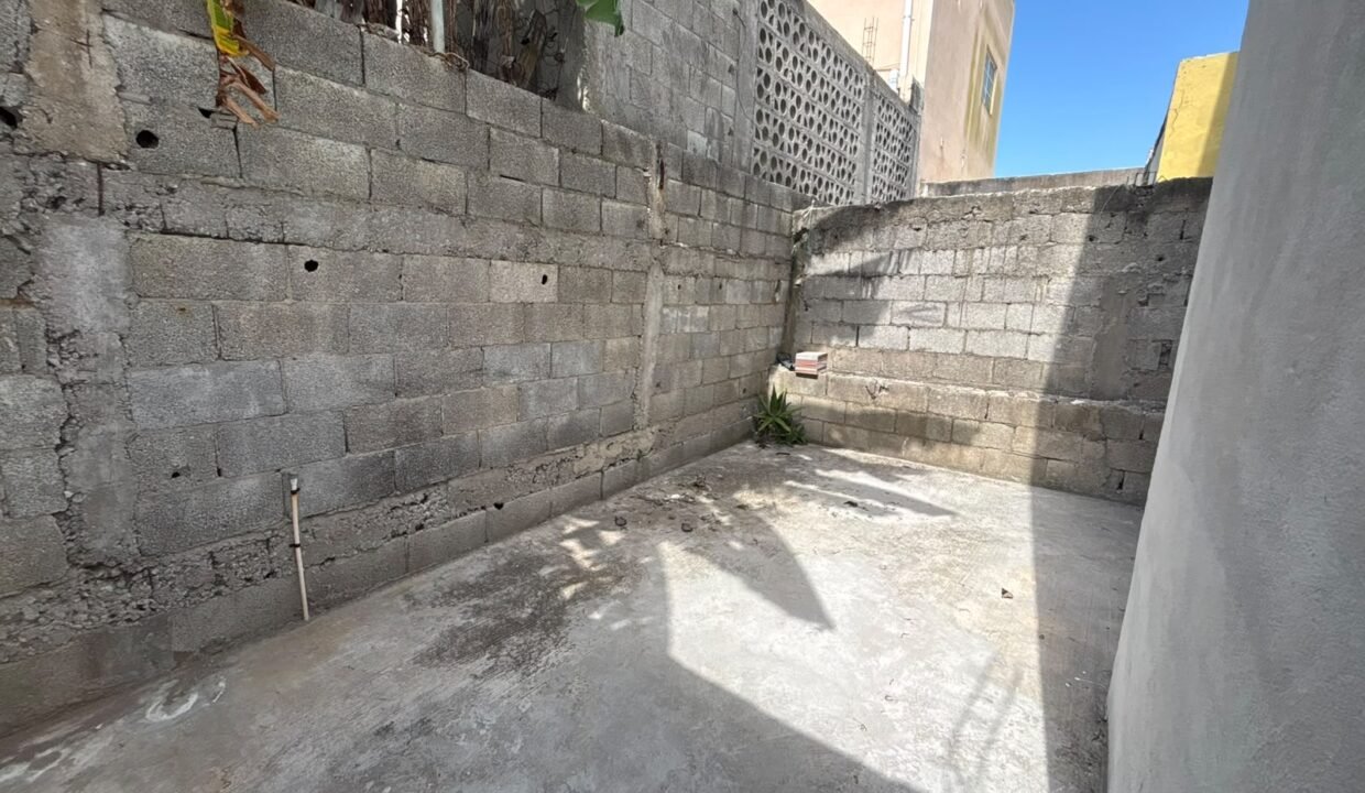 Patio trasero (3)