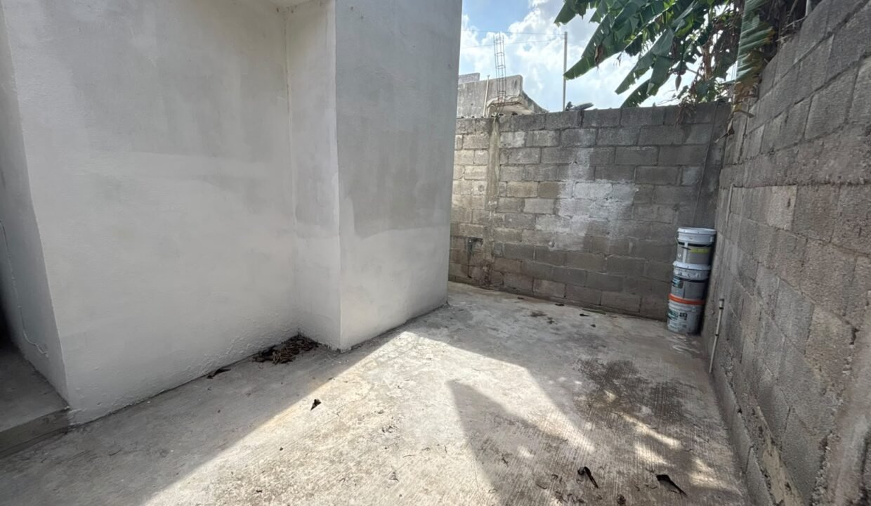 Patio trasero (4)